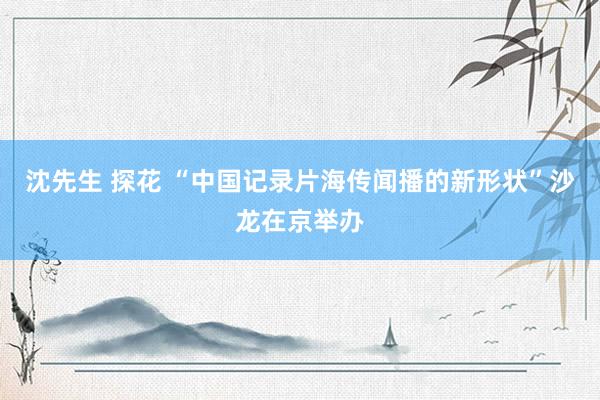 沈先生 探花 “中国记录片海传闻播的新形状”沙龙在京举办
