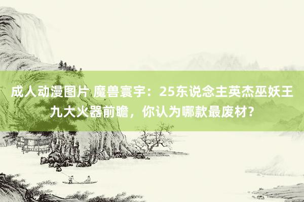 成人动漫图片 魔兽寰宇：25东说念主英杰巫妖王九大火器前瞻，你认为哪款最废材？