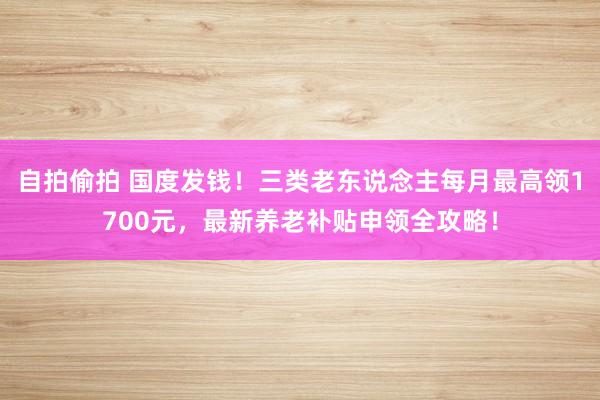 自拍偷拍 国度发钱！三类老东说念主每月最高领1700元，最新养老补贴申领全攻略！
