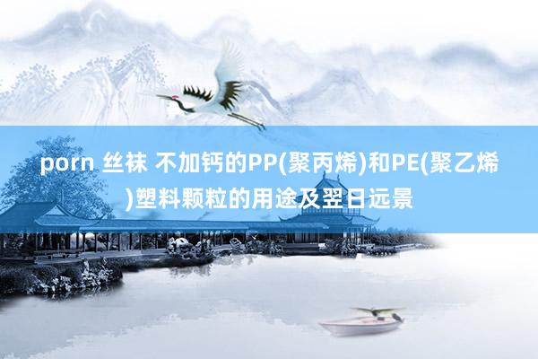 porn 丝袜 不加钙的PP(聚丙烯)和PE(聚乙烯)塑料颗粒的用途及翌日远景