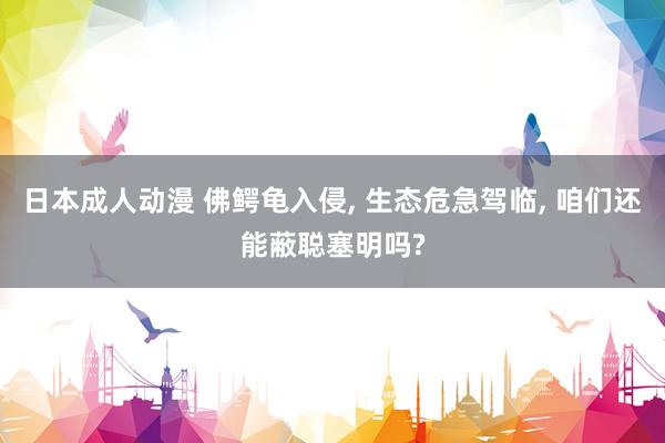 日本成人动漫 佛鳄龟入侵， 生态危急驾临， 咱们还能蔽聪塞明吗?