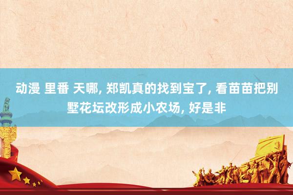 动漫 里番 天哪， 郑凯真的找到宝了， 看苗苗把别墅花坛改形成小农场， 好是非
